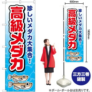 _J ̂ڂ JY-521i󒍐YiELZsj