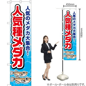 lC탁_J X}[ĝڂ JYS-519i󒍐YiELZsj