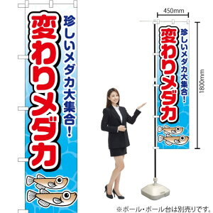 ς胁_J X}[ĝڂ JYS-520i󒍐YiELZsj