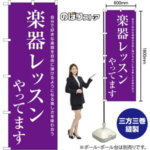 のぼり旗 楽器レッスン 自分で好きな楽器を自由に弾けるようになる楽しさを味わおう NMB-1140 (受注生産品・キャンセル不可)