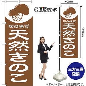 ̂ڂ VR̂ {̖o NMB-1399 i󒍐YiELZsj