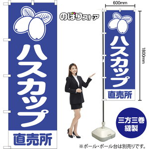 ̂ڂ nXJbv  NMB-1456 i󒍐YiELZsj