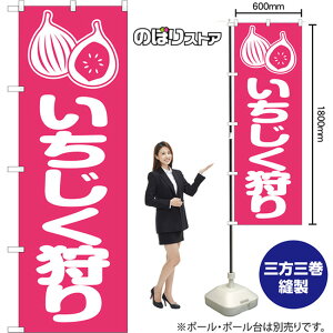 ̂ڂ  NMB-1462 i󒍐YiELZsj