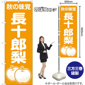 ̂ڂ \Y H̖o NMB-1509 i󒍐YiELZsj