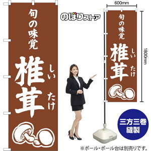 ̂ڂ ő {̖o NMB-1537 i󒍐YiELZsj