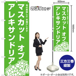 ̂ڂ }XJbgIuALThA {̔ ͂܂ NMB-1574 i󒍐YiELZsj