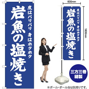 ⋛̉Ă ̂ڂ NMB-698 i󒍐YiELZsj