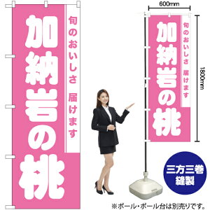 [̓ ̂ڂ NMB-846i󒍐YiELZsj