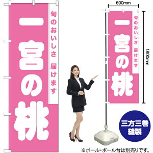 {̓ ̂ڂ NMB-853i󒍐YiELZsj