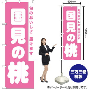 ̓ ̂ڂ NMB-859i󒍐YiELZsj