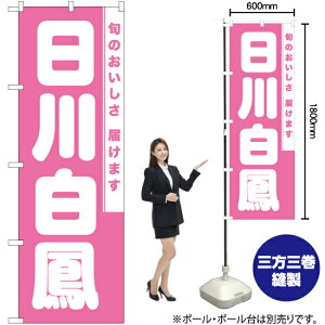 씒P ̂ڂ NMB-862i󒍐YiELZsj