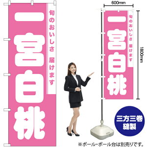 { ̂ڂ NMB-865i󒍐YiELZsj