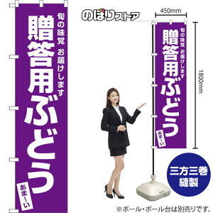 pԂǂ X}[ĝڂ NMBS-0482i󒍐YiELZsj