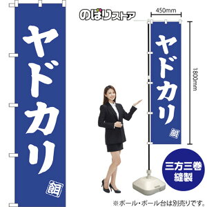 hJ X}[ĝڂ NMBS-0504i󒍐YiELZsj