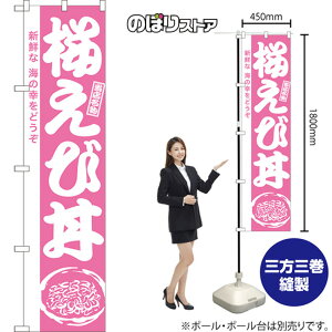 X}[ĝڂ ј VNȊC̍Kǂ NMBS-0979 i󒍐YiELZsj