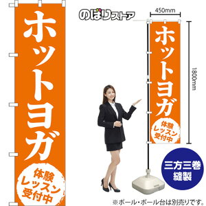 X}[ĝڂ zbgK ̌bXt NMBS-1050 i󒍐YiELZsj