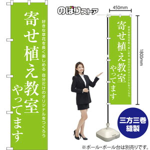 X}[ĝڂ 񂹐AĂ܂ DȑԂ𒷂y߂ ̃IWi낤 NMBS-1141 i󒍐YiELZsj