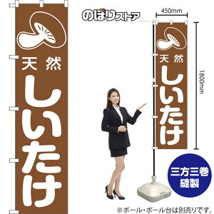 X}[ĝڂ  VR ij NMBS-1402 i󒍐YiELZsj