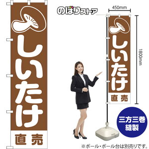 X}[ĝڂ   ij NMBS-1404 i󒍐YiELZsj