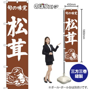 X}[ĝڂ  {̖o ij NMBS-1535 i󒍐YiELZsj