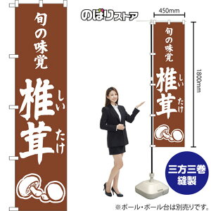 X}[ĝڂ ő {̖o ij NMBS-1537 i󒍐YiELZsj