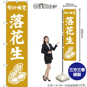 X}[ĝڂ Ԑ {̖o ij NMBS-1546 i󒍐YiELZsj