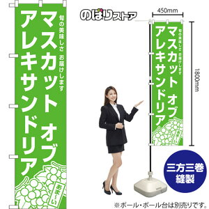 X}[ĝڂ }XJbgIuALThA {̔ ͂܂ i΁j NMBS-1574 i󒍐YiELZsj