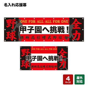 ꉞ bq֒IS͖싅 ONE FOR ALL ALL FOR ONE iԁEj lOEwZEE`[ y4TCYIׂ܂z