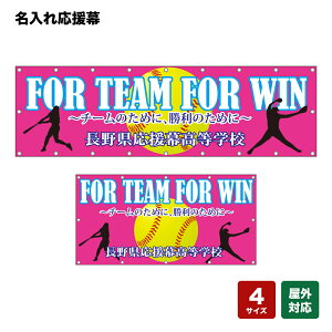 ꉞ FOR TEAM FOR WIN `[̂߂ɁÂ߂ isNj lOEwZEE`[ y4TCYIׂ܂z