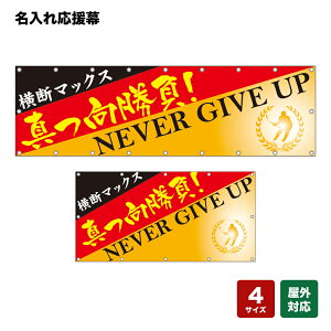 ꉞ ^I NEVER GIVE UP ij lOEwZEE`[ y4TCYIׂ܂z