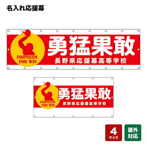 ꉞ E҉ʊ FOR TEAM FOR WIN iԁj lOEwZEE`[ y4TCYIׂ܂z