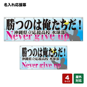 ꉞ ͉̂INever give up iFj lOEwZEE`[ y4TCYIׂ܂z