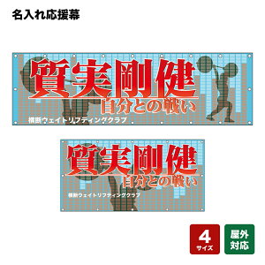 ꉞ  Ƃ̐킢 iFj lOEwZEE`[ y4TCYIׂ܂z