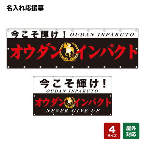 ꉞ PI NEVER GIVE UP ij lOEwZEE`[ y4TCYIׂ܂z