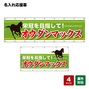 ꉞ hڎwāI NEVER GIVE UP i΁j lOEwZEE`[ y4TCYIׂ܂z