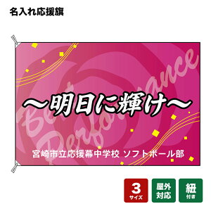 ꉞ ɋP Best Performance isNj lOEwZEE`[ y3TCYIׂ܂z