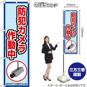 �̂ڂ�� �h�ƃJ�����쓮�� SECURITY CAMERA IN USE �i�g�E���F�j OKE-0128 �i�󒍐��Y�i�E�L�����Z���s�j