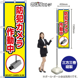 �̂ڂ�� �h�ƃJ�����쓮�� SECURITY CAMERA IN USE �i�g�E���j OKE-0129 �i�󒍐��Y�i�E�L�����Z���s�j