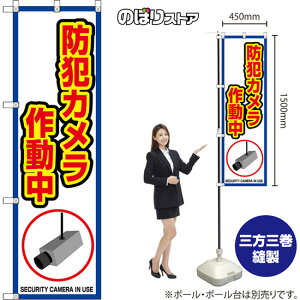 �̂ڂ�� �h�ƃJ�����쓮�� SECURITY CAMERA IN USE �i�g�E���j OKE-0130 �i�󒍐��Y�i�E�L�����Z���s�j
