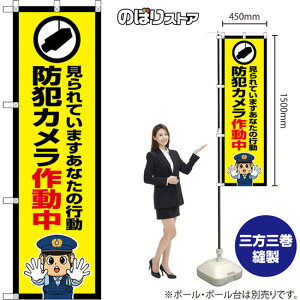 ̂ڂ hƃJ쓮 Ă܂Ȃ̍s iEx@j OKE-0455 i󒍐YiELZsj