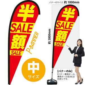 Poi[ iTCYj zZ[ PB-0091 i󒍐YiELZsj