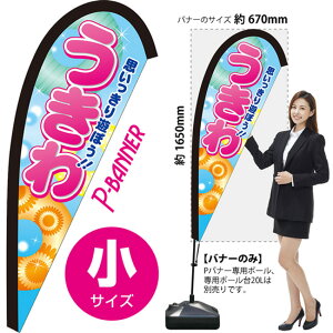 Poi[ iTCYj  PB-0133 i󒍐YiELZsj