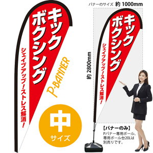 Poi[ iTCYj LbN{NVO VFCvAbv XgX PB-0411 i󒍐YiELZsj