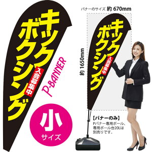 Poi[ iTCYj LbN{NVO W PB-0413 i󒍐YiELZsj