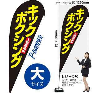 Poi[ iTCYj LbN{NVO W PB-0416 i󒍐YiELZsj