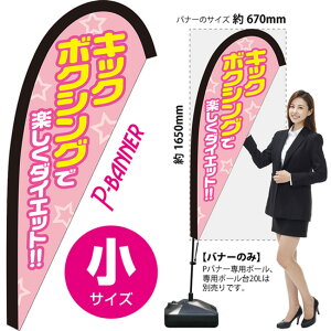 Poi[ iTCYj LbN{NVOŊy_CGbg PB-0417 i󒍐YiELZsj