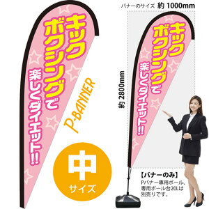 Poi[ iTCYj LbN{NVOŊy_CGbg PB-0419 i󒍐YiELZsj