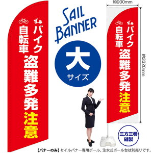 ZCoi[ iTCYj oCN]  iԁj SB-2101 i󒍐YiELZsj