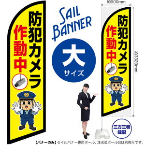 ZCoi[ iTCYj hƃJ쓮 ix@CXgj SB-2974 Ď x i󒍐YiELZsj