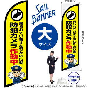 ZCoi[ iTCYj hƃJ쓮 ix@CXgj SB-2980 Ď x i󒍐YiELZsj